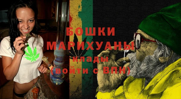 МДПВ Ветлуга