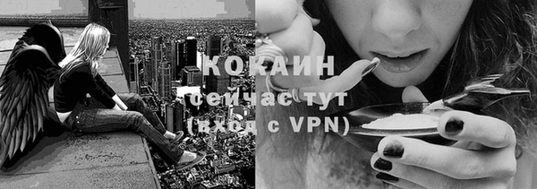 ALPHA PVP Нязепетровск