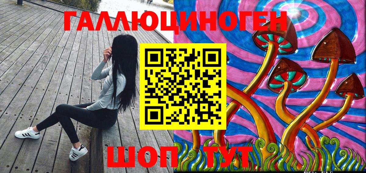Псилоцибиновые грибы GOLDEN TEACHER  Псилоцибиновые грибы мицелий  где купить наркоту  Вход с VPN  Чита 